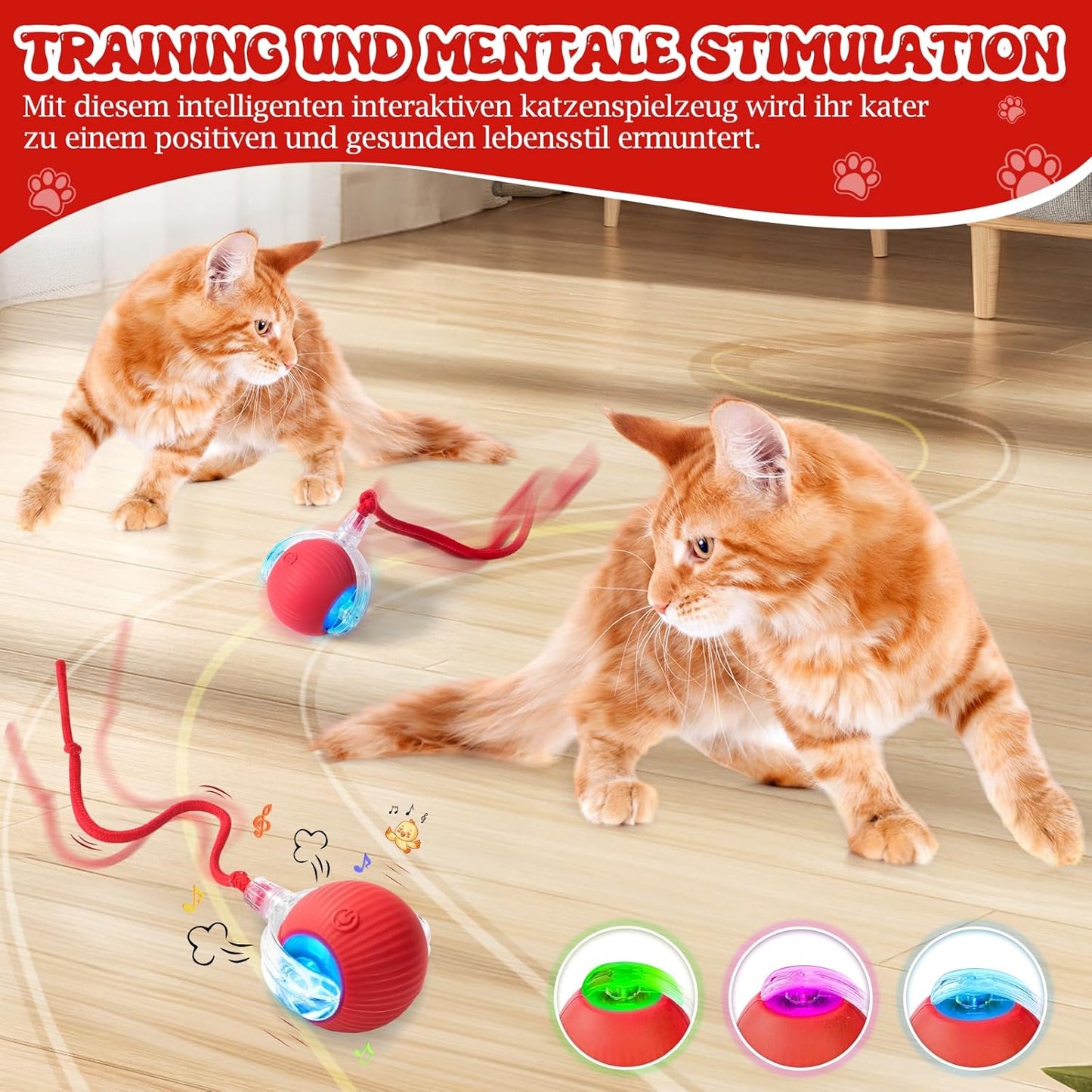 ✨Boredom Buster for Indoor Cats! Smart Band Wake-Up