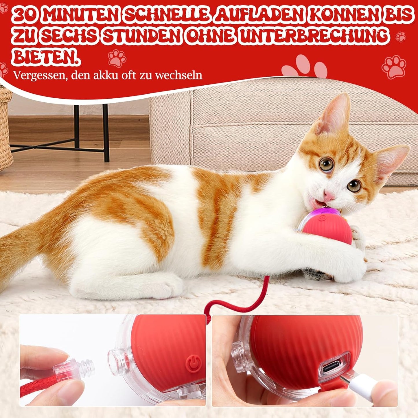✨Boredom Buster for Indoor Cats! Smart Band Wake-Up