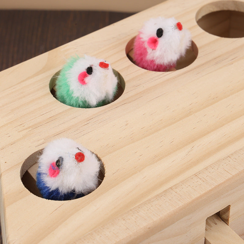 🐾 5-Hole Puzzle Play Toy for Cats