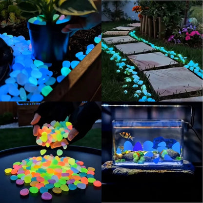 🛫Free Shipping👍Buy 1000 PCS